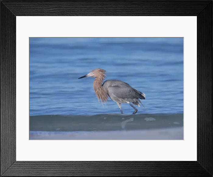 Framed Print : Picture No. 11980672 Framed Print : Picture No. 11980672