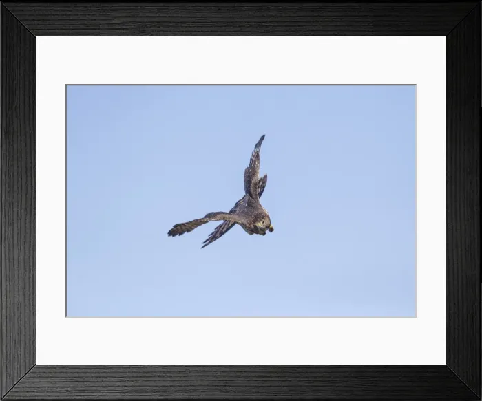 Framed Print : Picture No. 11980684 Framed Print : Picture No. 11980684