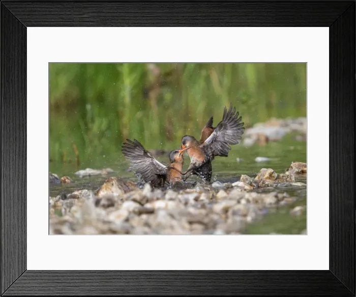Framed Print : Picture No. 11980685 Framed Print : Picture No. 11980685
