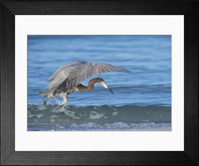 Framed Print : Picture No. 11980686 Framed Print : Picture No. 11980686