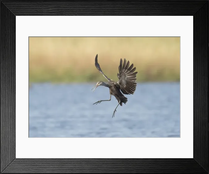 Framed Print : Picture No. 11980690 Framed Print : Picture No. 11980690