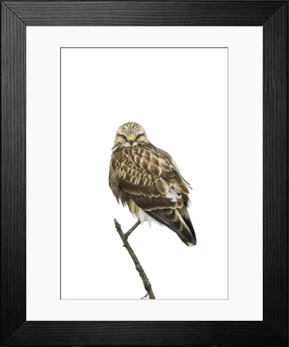 Framed Print : Picture No. 11980692 Framed Print : Picture No. 11980692