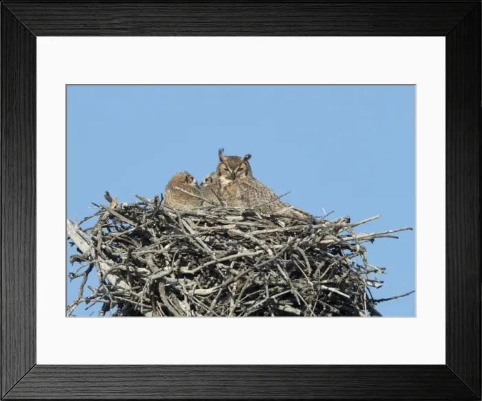Framed Print : Picture No. 11980696 Framed Print : Picture No. 11980696
