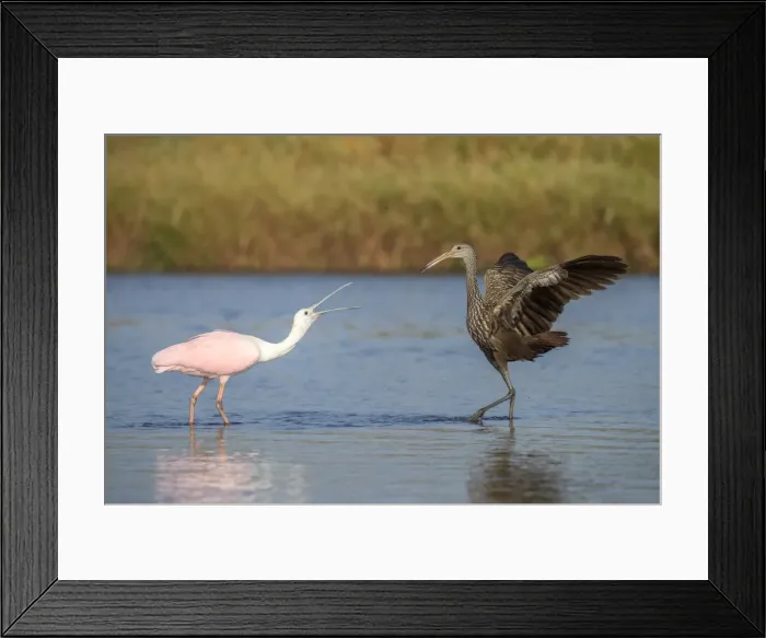 Framed Print : Picture No. 11980716 Framed Print : Picture No. 11980716