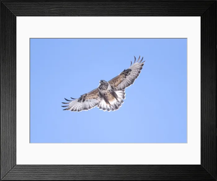 Framed Print : Picture No. 11980717 Framed Print : Picture No. 11980717