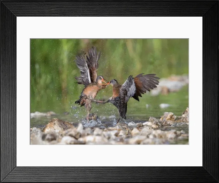 Framed Print : Picture No. 11980722 Framed Print : Picture No. 11980722