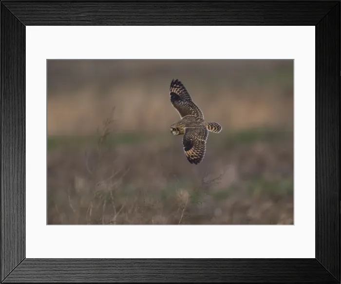Framed Print : Picture No. 11980723 Framed Print : Picture No. 11980723