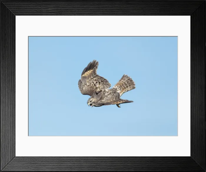 Framed Print : Picture No. 11980726 Framed Print : Picture No. 11980726