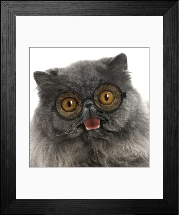 Framed Print : Picture No. 11982324 Framed Print : Picture No. 11982324