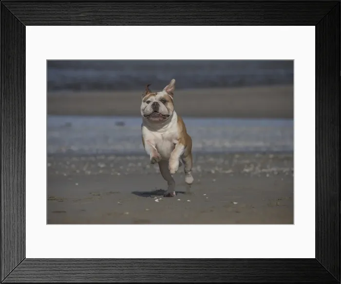 Framed Print : Picture No. 11981174 Framed Print : Picture No. 11981174