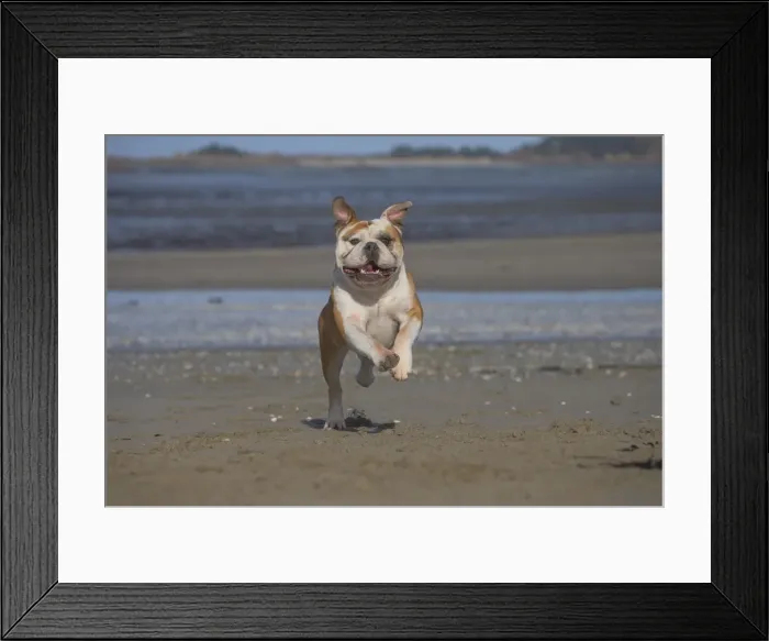 Framed Print : Picture No. 11981175 Framed Print : Picture No. 11981175