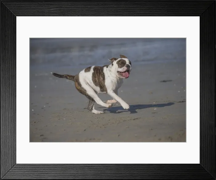Framed Print : Picture No. 11981184 Framed Print : Picture No. 11981184