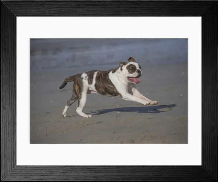 Framed Print : Picture No. 11981185 Framed Print : Picture No. 11981185