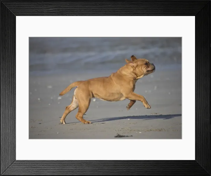 Framed Print : Picture No. 11981186 Framed Print : Picture No. 11981186