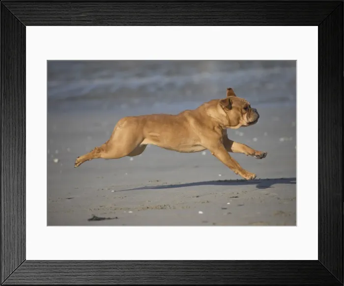 Framed Print : Picture No. 11981187 Framed Print : Picture No. 11981187