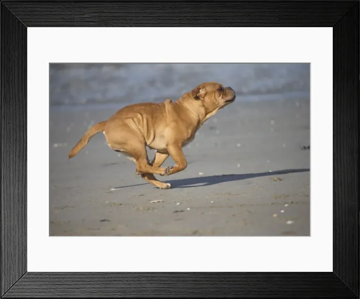 Framed Print : Picture No. 11981188 Framed Print : Picture No. 11981188
