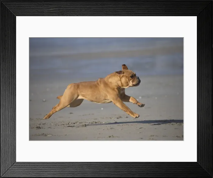 Framed Print : Picture No. 11981189 Framed Print : Picture No. 11981189