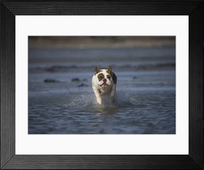 Framed Print : Picture No. 11981191 Framed Print : Picture No. 11981191