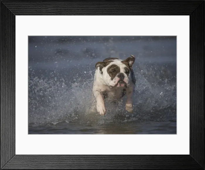 Framed Print : Picture No. 11981192 Framed Print : Picture No. 11981192
