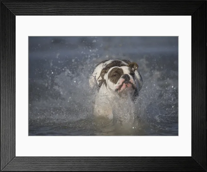 Framed Print : Picture No. 11981193 Framed Print : Picture No. 11981193