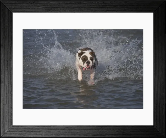 Framed Print : Picture No. 11981194 Framed Print : Picture No. 11981194