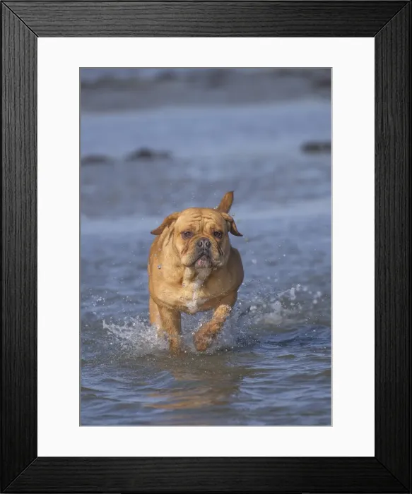 Framed Print : Picture No. 11981196