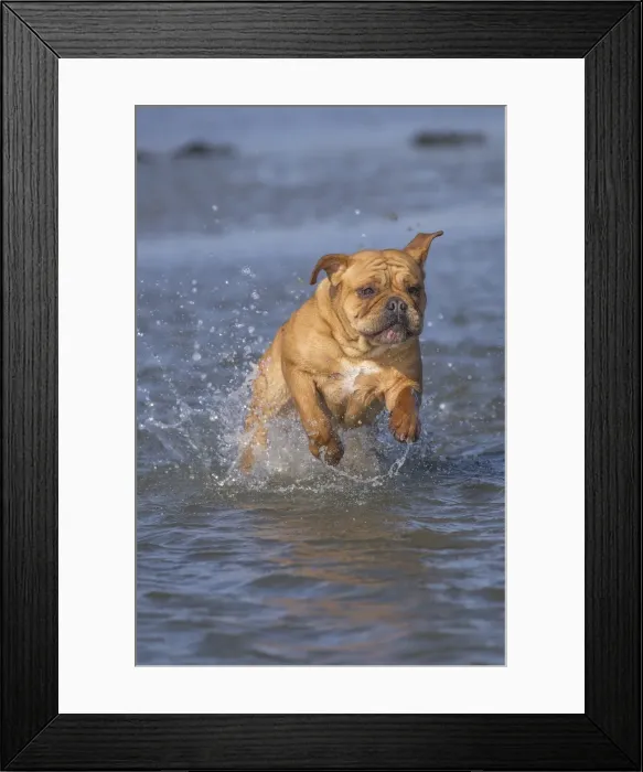 Framed Print : Picture No. 11981198 Framed Print : Picture No. 11981198