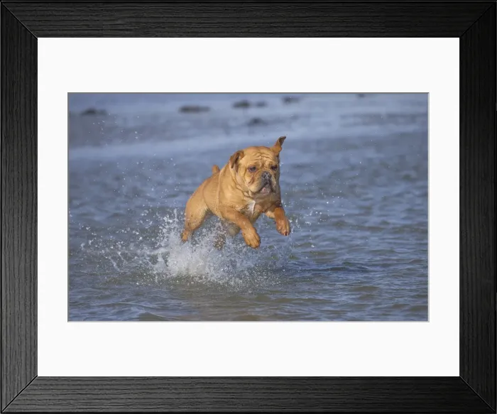 Framed Print : Picture No. 11981199 Framed Print : Picture No. 11981199