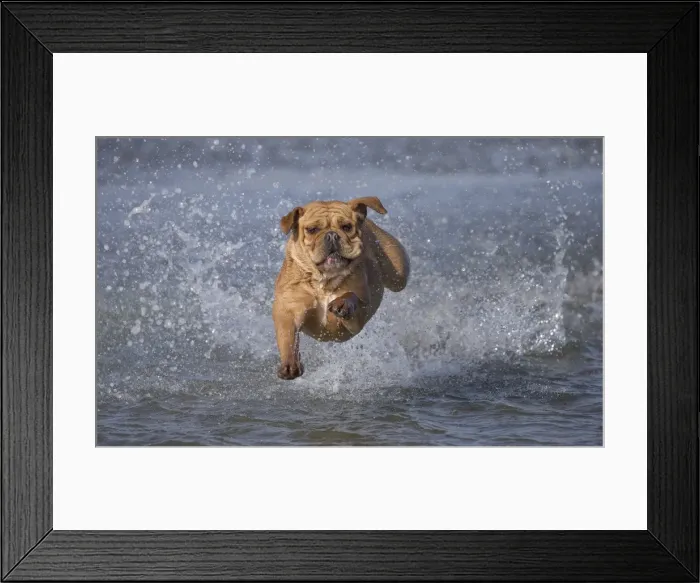 Framed Print : Picture No. 11981201 Framed Print : Picture No. 11981201