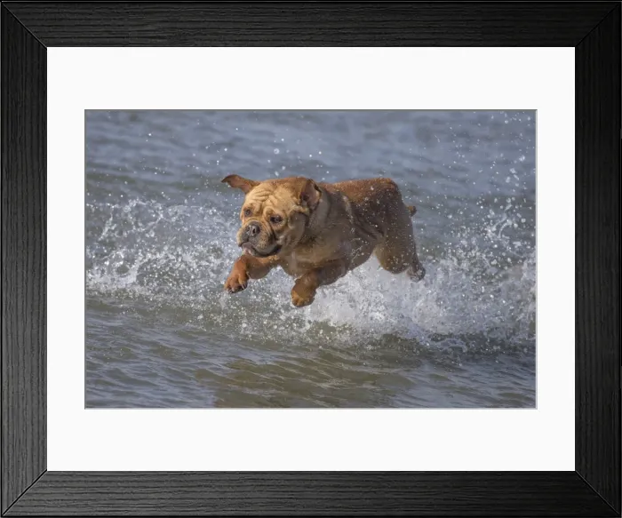 Framed Print : Picture No. 11981203 Framed Print : Picture No. 11981203