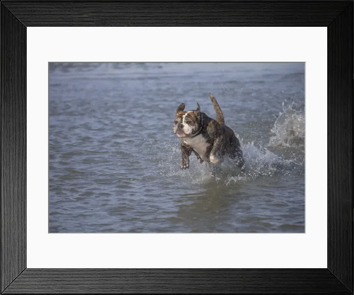 Framed Print : Picture No. 11981204 Framed Print : Picture No. 11981204