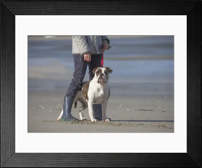 Framed Print : Picture No. 11981205 Framed Print : Picture No. 11981205