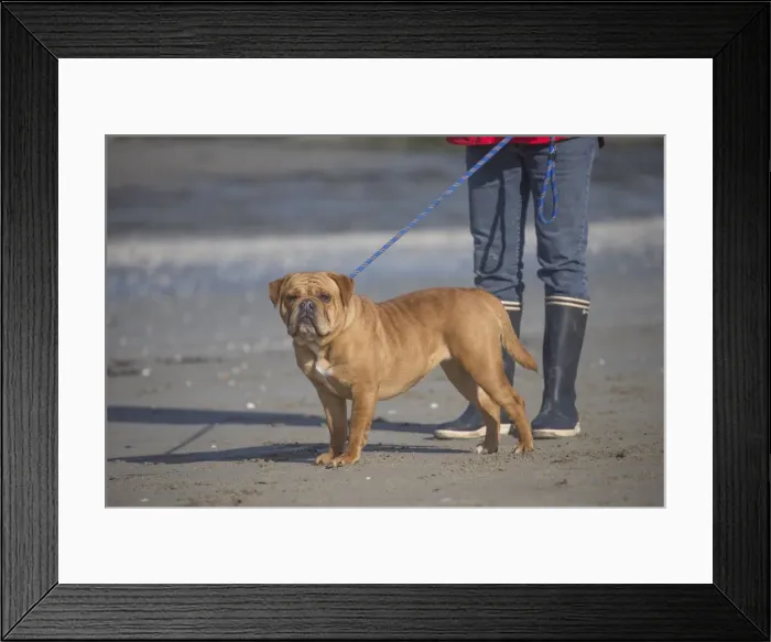 Framed Print : Picture No. 11981206 Framed Print : Picture No. 11981206