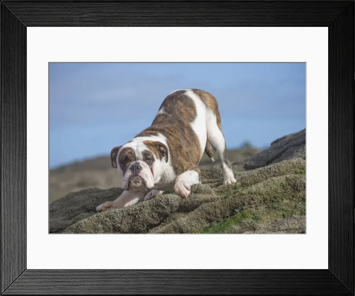 Framed Print : Picture No. 11981209 Framed Print : Picture No. 11981209