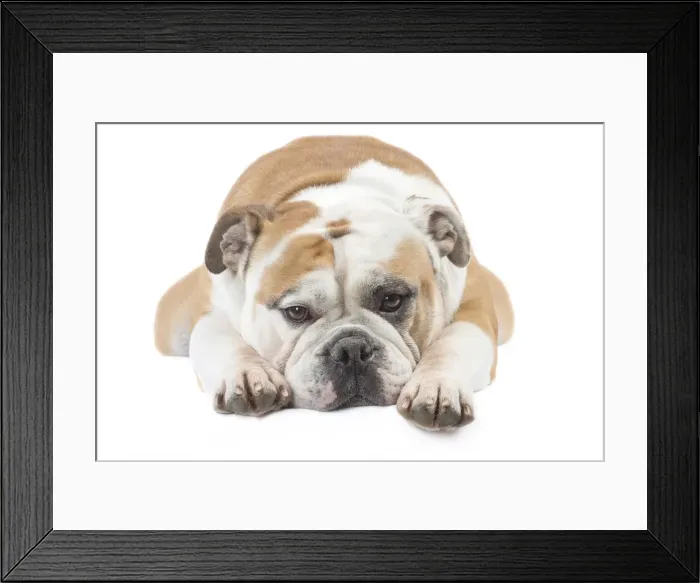 Framed Print : Picture No. 11981217 Framed Print : Picture No. 11981217