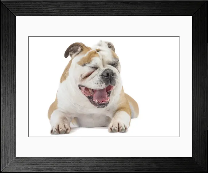 Framed Print : Picture No. 11981219 Framed Print : Picture No. 11981219