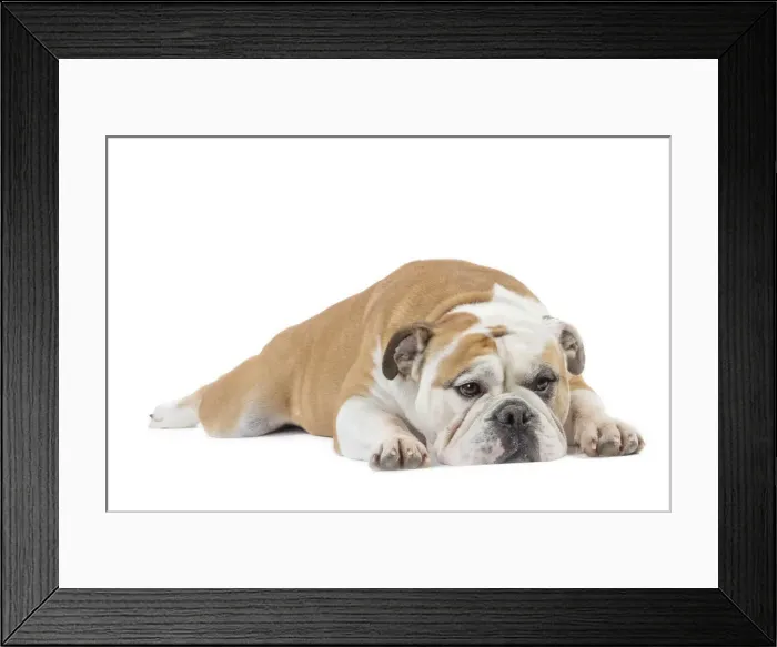 Framed Print : Picture No. 11981220 Framed Print : Picture No. 11981220