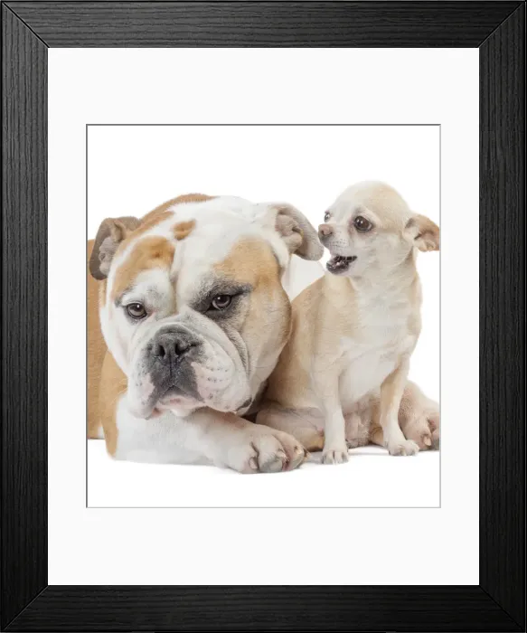 Framed Print : Picture No. 11981222 Framed Print : Picture No. 11981222