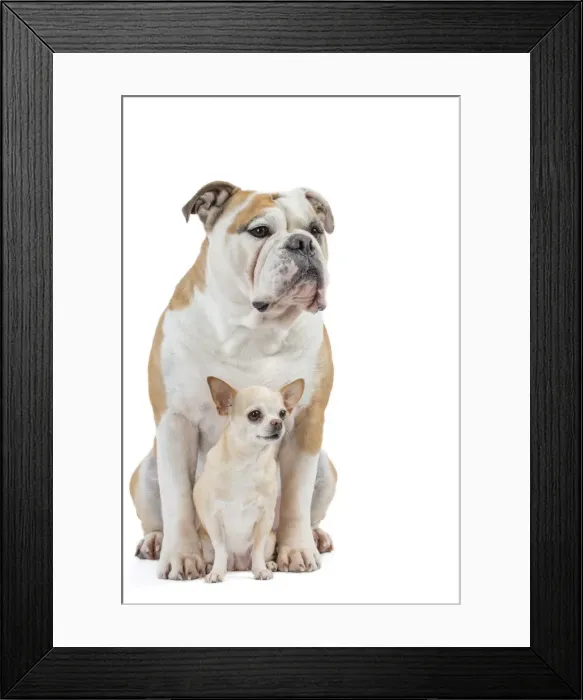Framed Print : Picture No. 11981223
