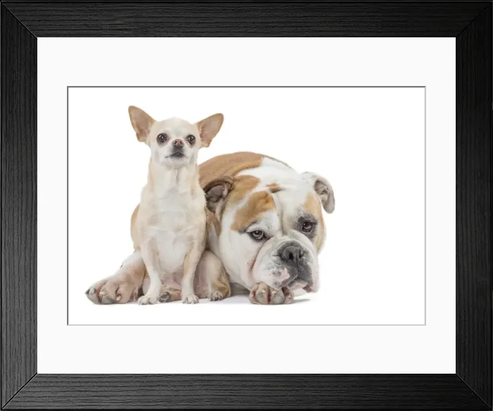 Framed Print : Picture No. 11981225 Framed Print : Picture No. 11981225