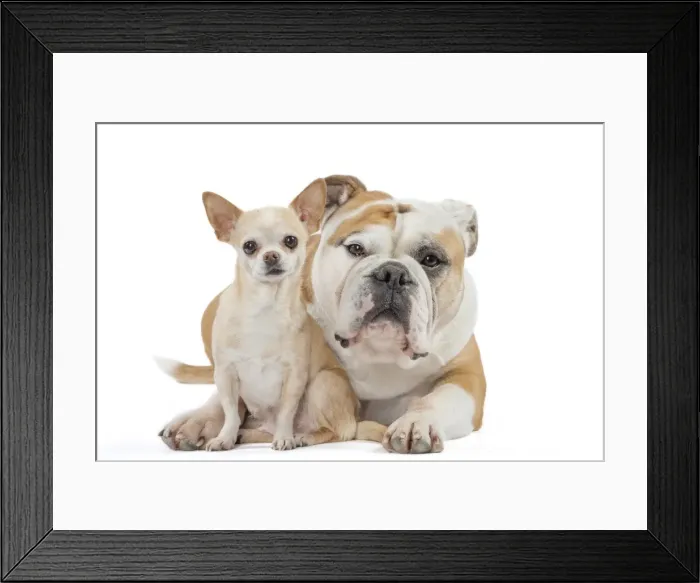 Framed Print : Picture No. 11981227 Framed Print : Picture No. 11981227