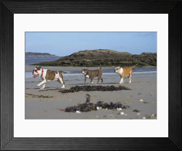 Framed Print : Picture No. 11981228 Framed Print : Picture No. 11981228