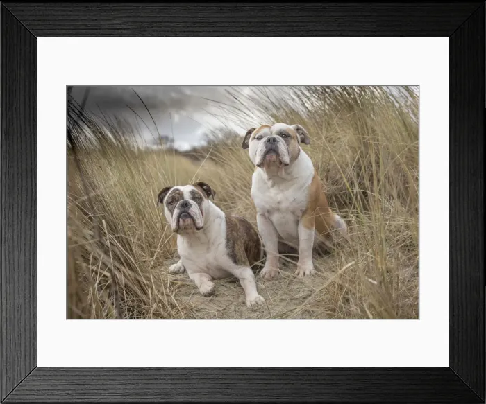 Framed Print : Picture No. 11981229