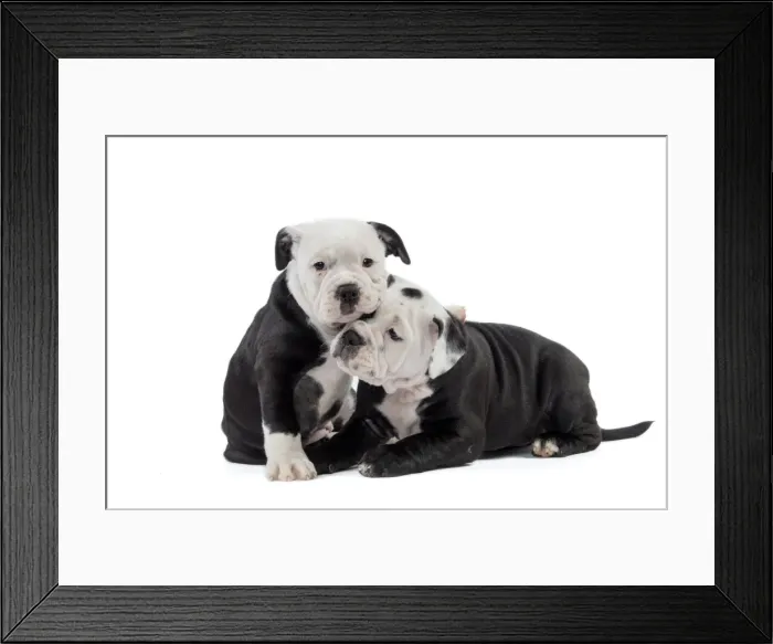 Framed Print : Picture No. 11981238 Framed Print : Picture No. 11981238