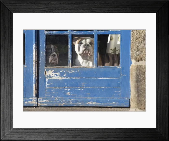 Framed Print : Picture No. 11981244 Framed Print : Picture No. 11981244