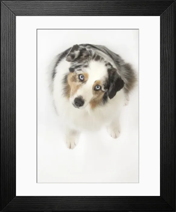 Framed Print : Picture No. 11981284 Framed Print : Picture No. 11981284