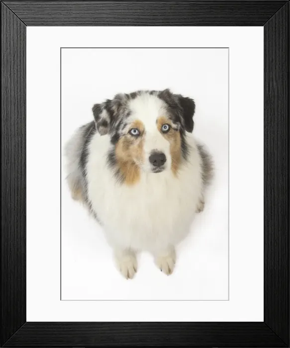 Framed Print : Picture No. 11981285 Framed Print : Picture No. 11981285