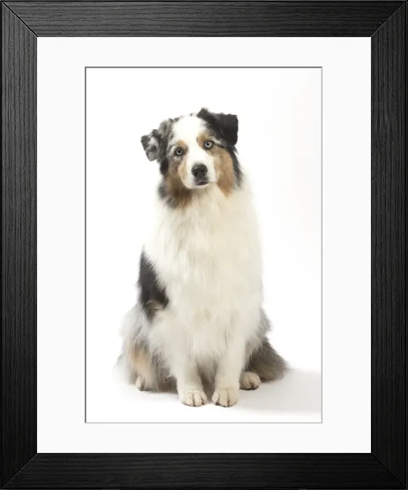 Framed Print : Picture No. 11981288 Framed Print : Picture No. 11981288