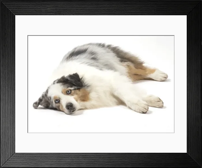 Framed Print : Picture No. 11981292 Framed Print : Picture No. 11981292