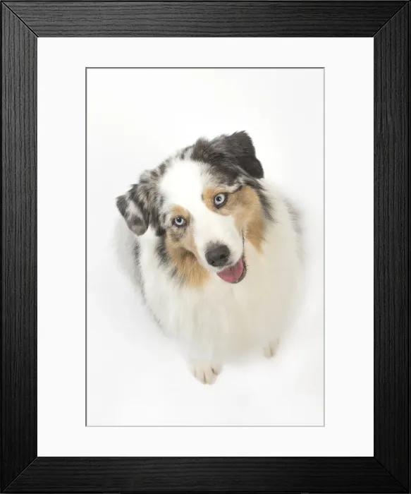 Framed Print : Picture No. 11981293 Framed Print : Picture No. 11981293